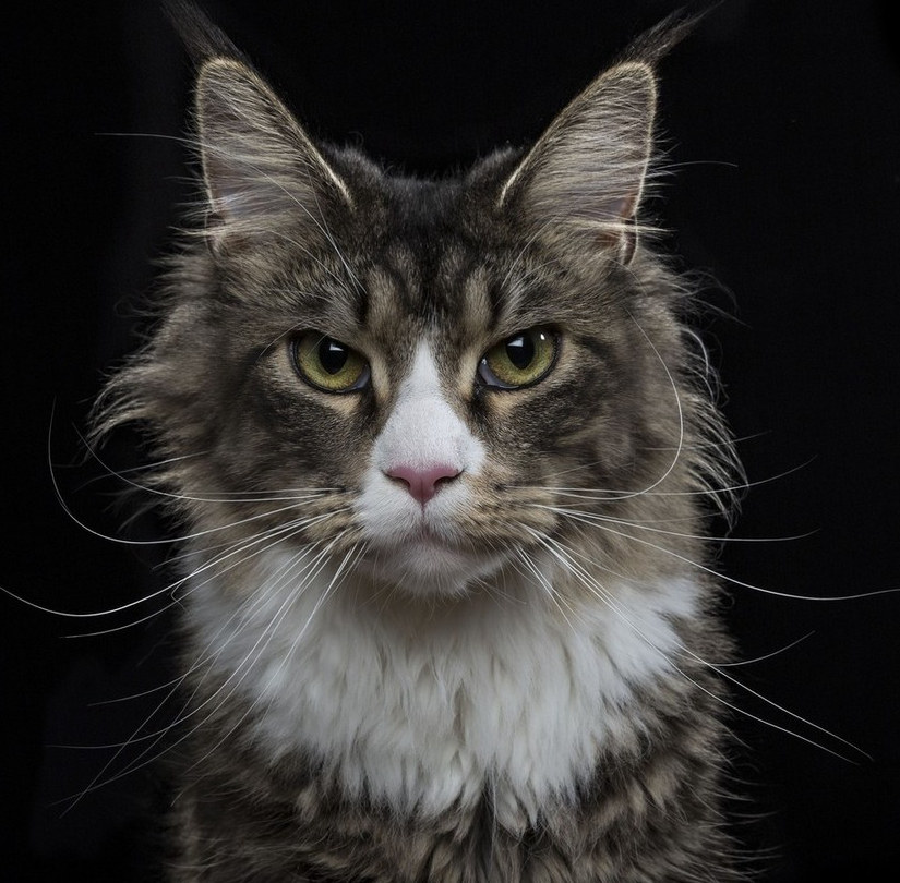 ?? ???? ?? ????? ?? ? ?? ??