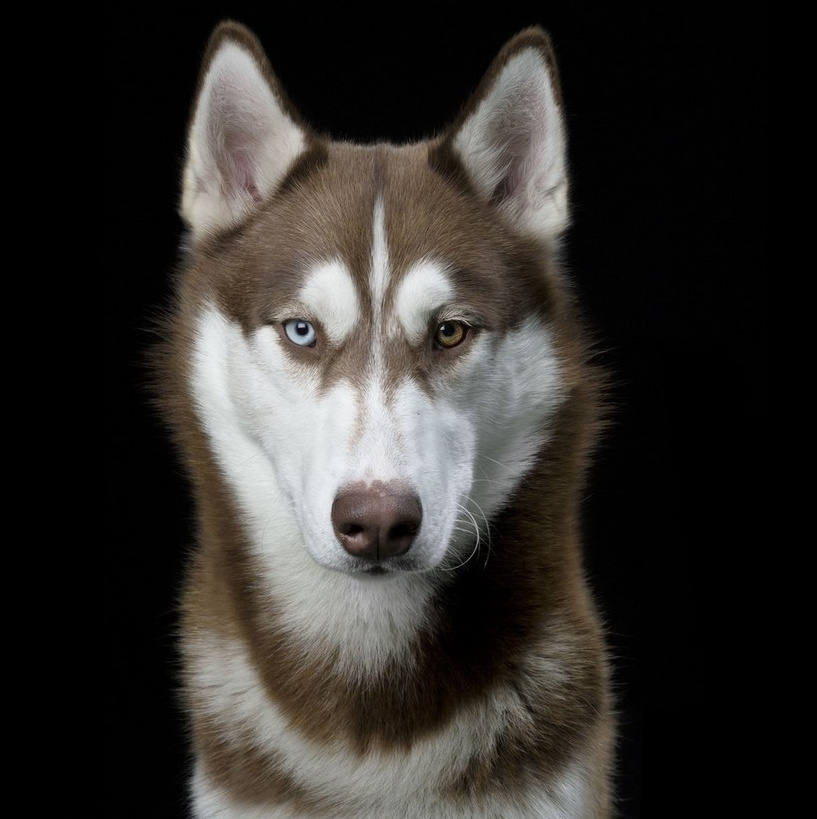 ?? ???? ?? ????? ?? ? ?? ??