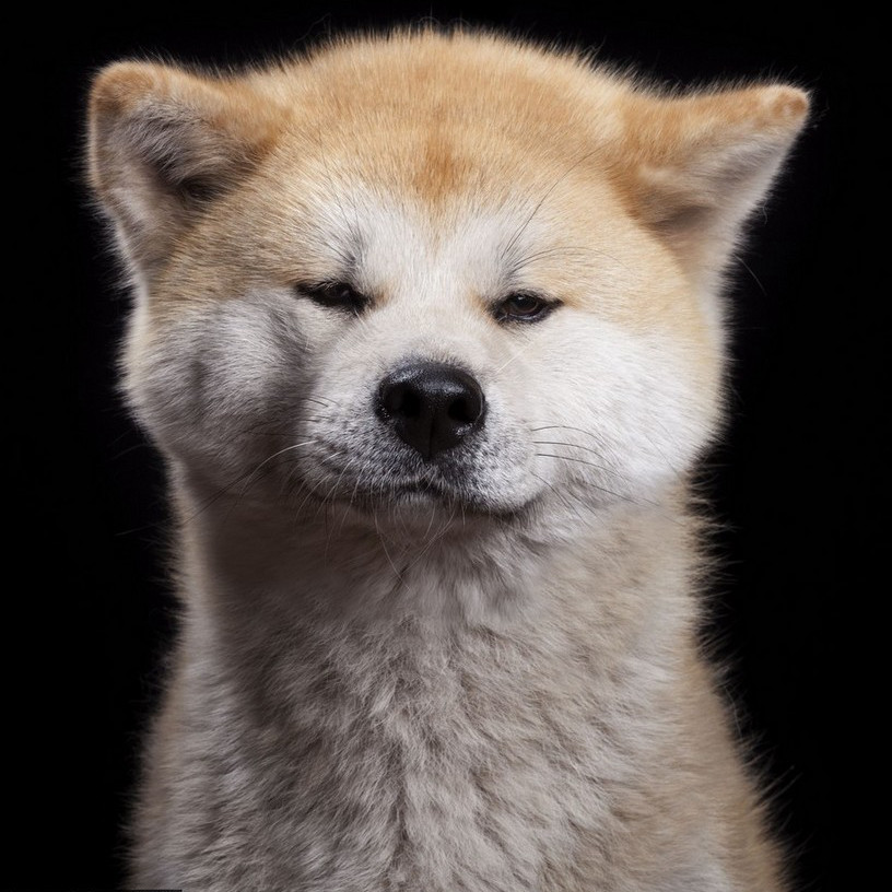 ?? ???? ?? ????? ?? ? ?? ??