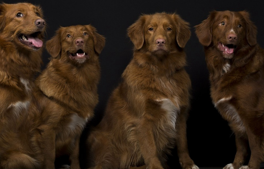 ?? ???? ?? ????? ?? ? ?? ??