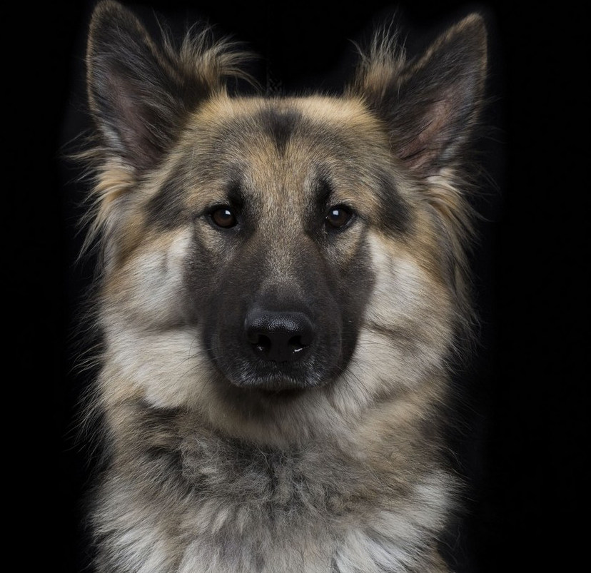 ?? ???? ?? ????? ?? ? ?? ??