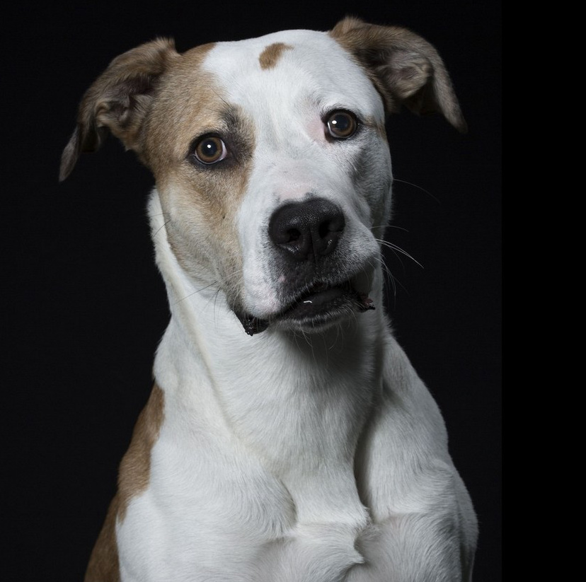 ?? ???? ?? ????? ?? ? ?? ??