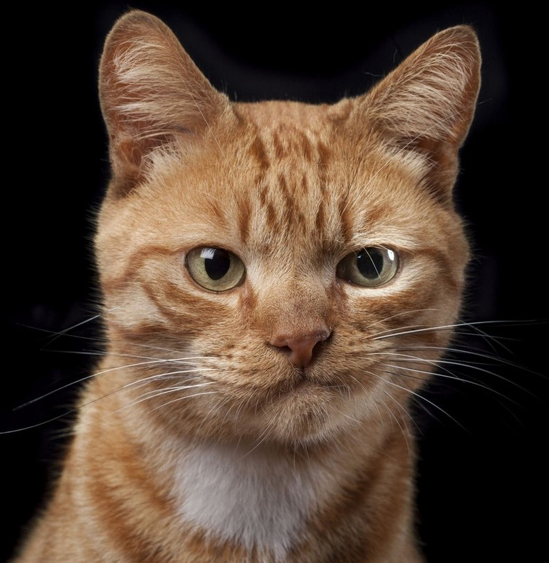 ?? ???? ?? ????? ?? ? ?? ??