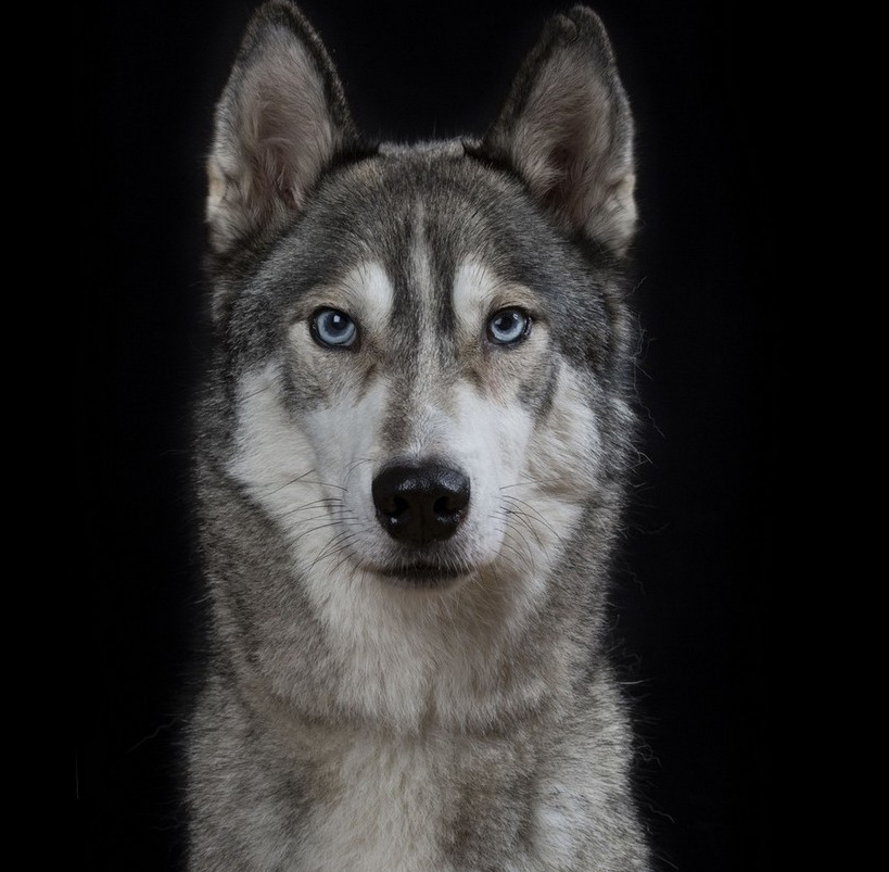 ?? ???? ?? ????? ?? ? ?? ??