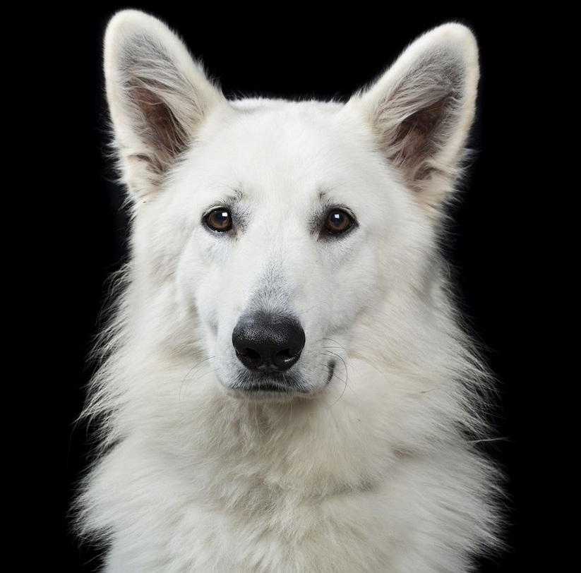 ?? ???? ?? ????? ?? ? ?? ??