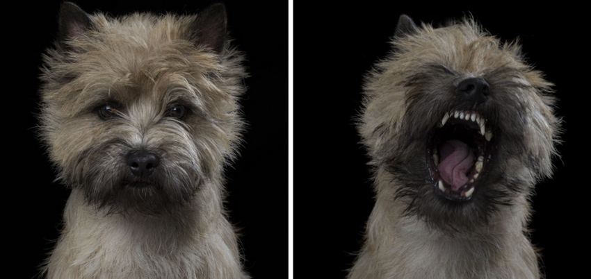 ?? ???? ?? ????? ?? ? ?? ??