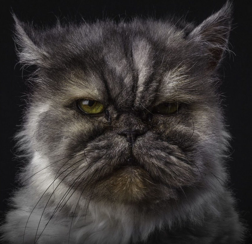 ?? ???? ?? ????? ?? ? ?? ??