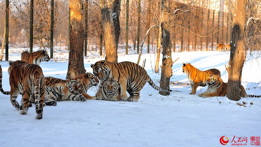 ?????, ????? ?? ???? ??