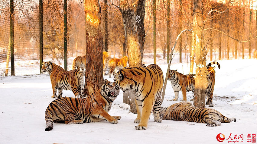 ?????, ????? ?? ???? ??