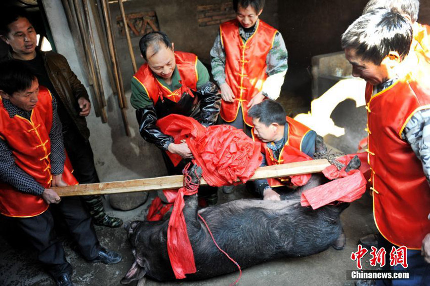 ?? ??, ?? ?? ?? ??? ? ??