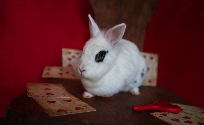 ???? ???? ?? ??, ‘????’ ??