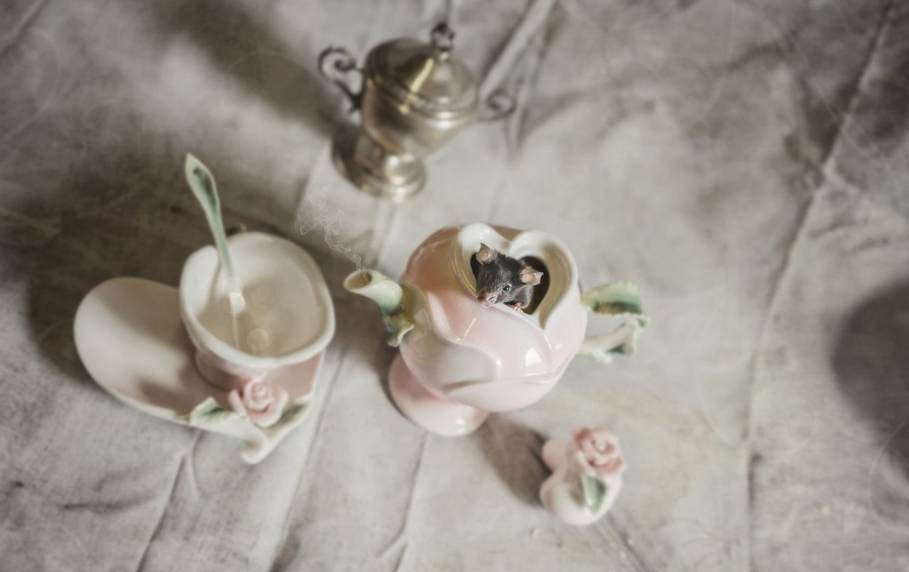 ???? ???? ?? ??, ‘????’ ??