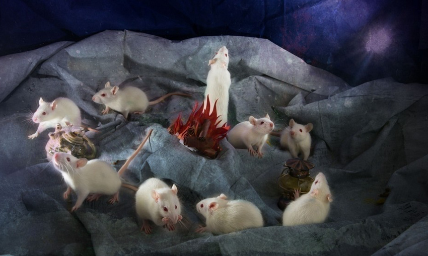 ???? ???? ?? ??, ‘????’ ??