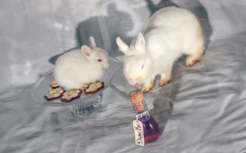 ???? ???? ?? ??, ‘????’ ??