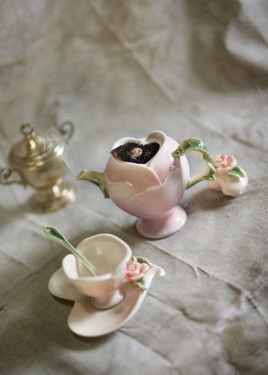 ???? ???? ?? ??, ‘????’ ??