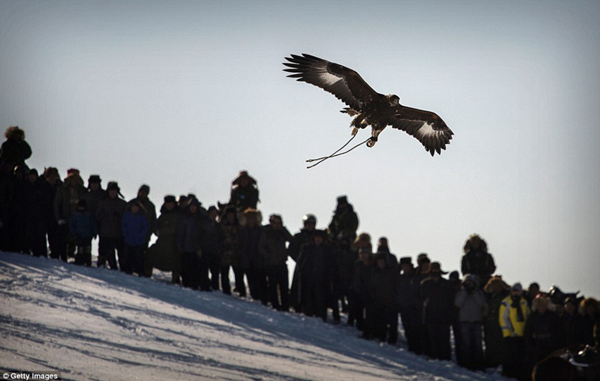 ?? ??? ???? ?? ?? ‘????’