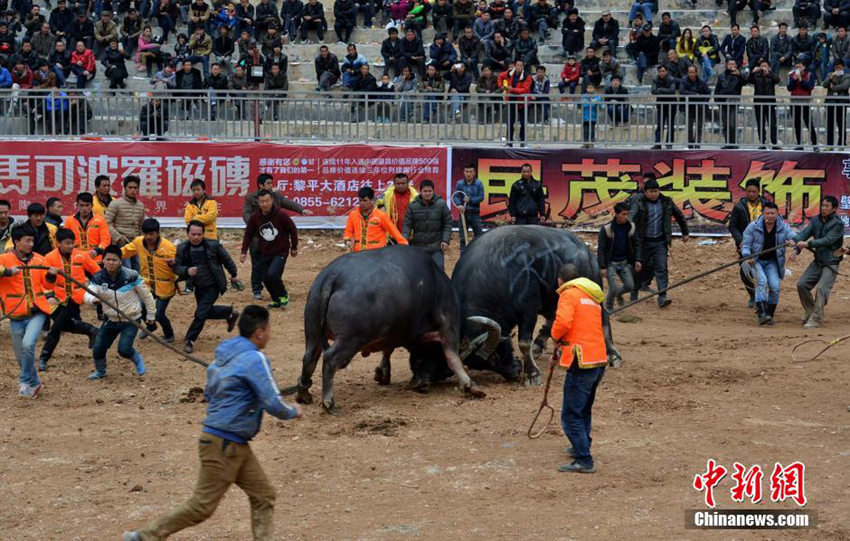 ???? ‘????’, 130?? ??? ??? ?? ??