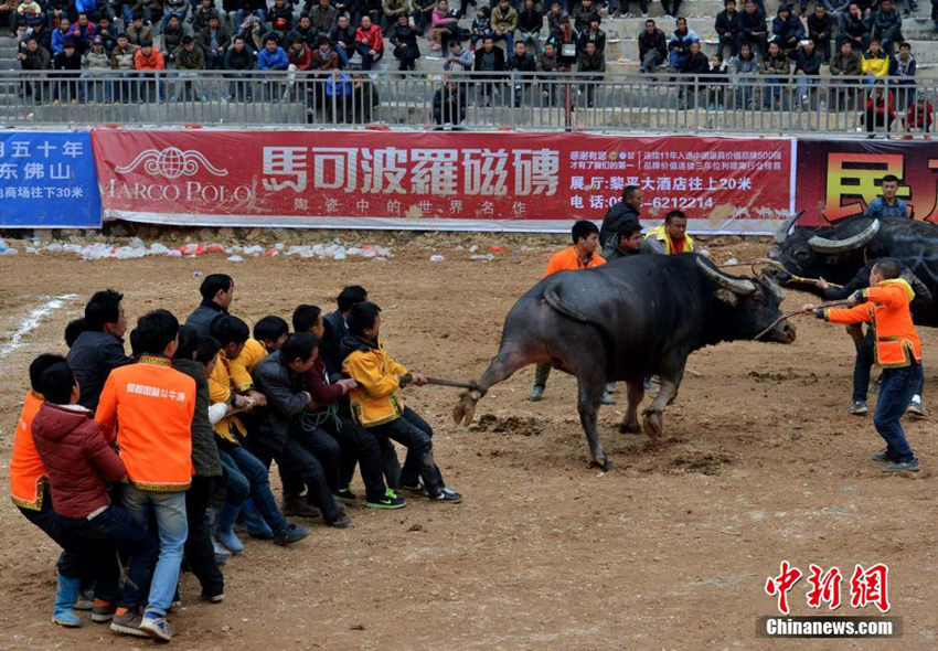 ???? ‘????’, 130?? ??? ??? ?? ??