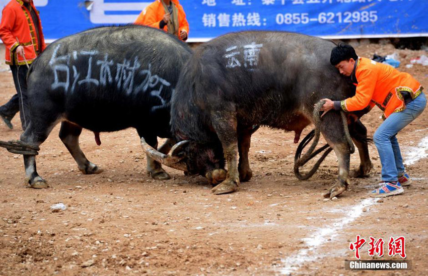 ???? ‘????’, 130?? ??? ??? ?? ??