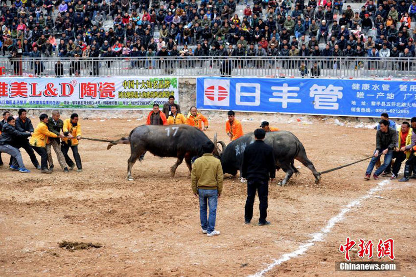 ???? ‘????’, 130?? ??? ??? ?? ??