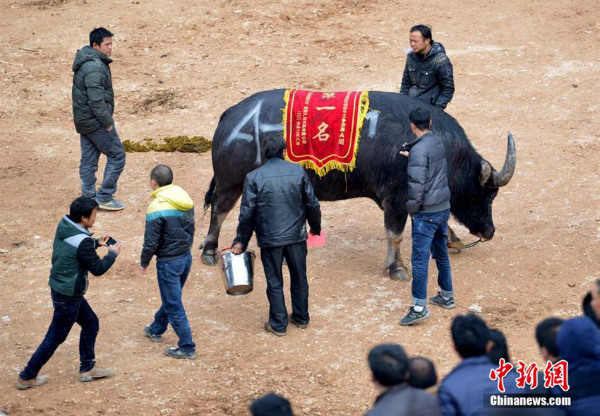 ???? ‘????’, 130?? ??? ??? ?? ??