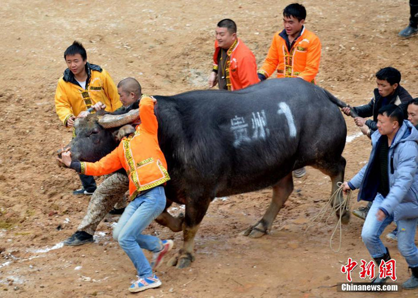 ???? ‘????’, 130?? ??? ??? ?? ??