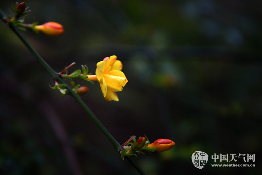 ??? ??? 2?? ????, ?? ??