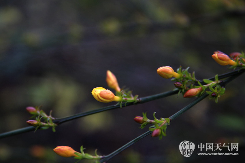 ??? ??? 2?? ????, ?? ??