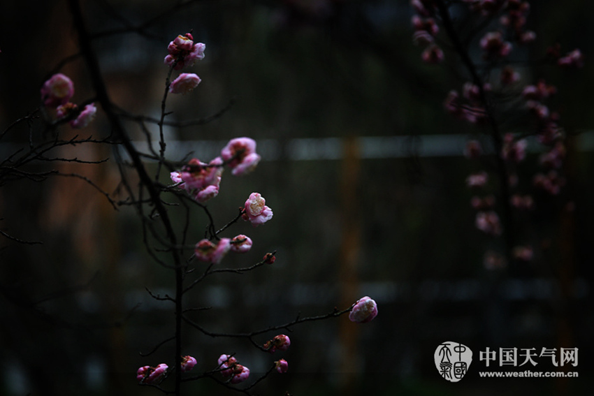 ??? ??? 2?? ????, ?? ??