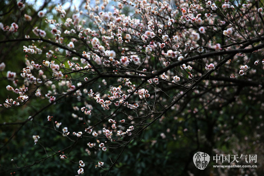 ??? ??? 2?? ????, ?? ??