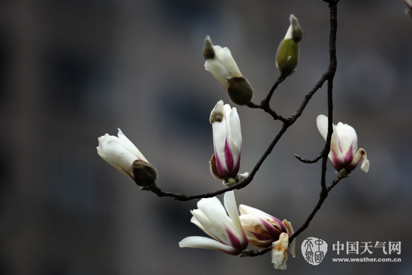 ??? ??? 2?? ????, ?? ??