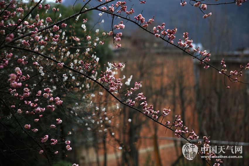 ??? ??? 2?? ????, ?? ??