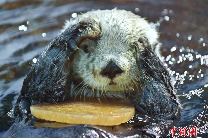 日??? ??, ?????? ??? ??? ?? ??