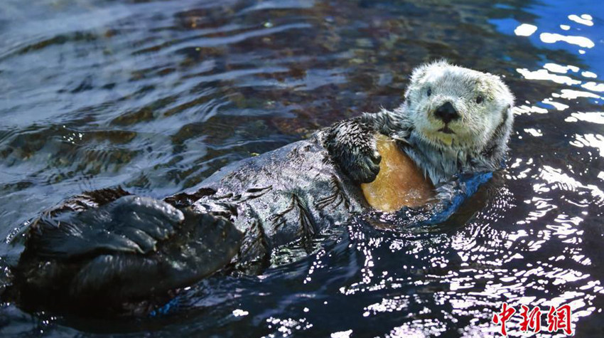 日??? ??, ?????? ??? ??? ?? ??