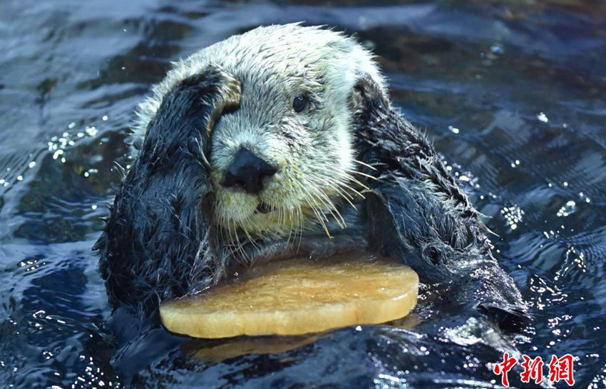 日??? ??, ?????? ??? ??? ?? ??