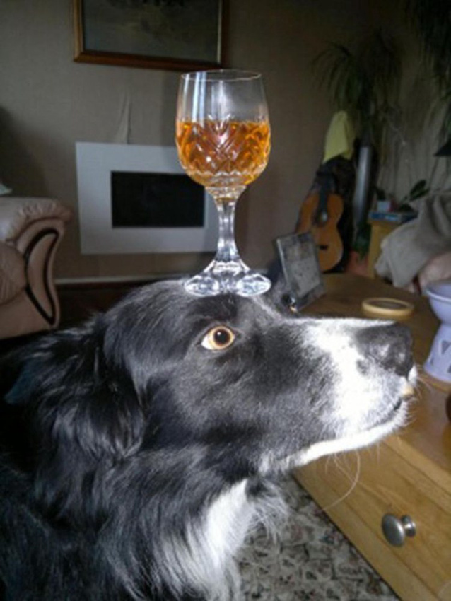 ???? ‘?’ ???…??? ? ?? ??? ??