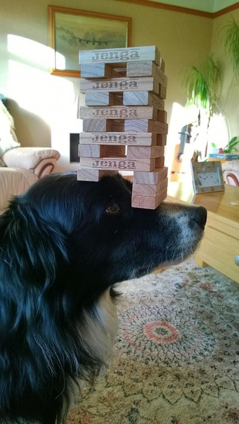 ???? ‘?’ ???…??? ? ?? ??? ??