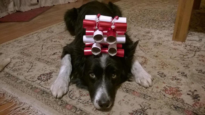 ???? ‘?’ ???…??? ? ?? ??? ??