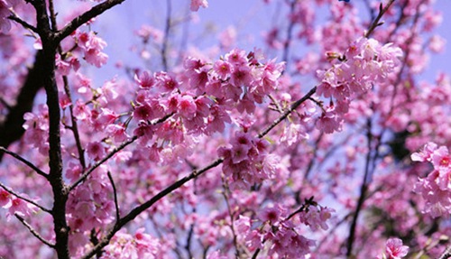 ‘??? ??’ ??? ?? ???  