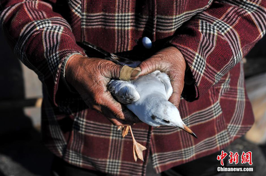 ???? ???, 7?? ?? ???? ???