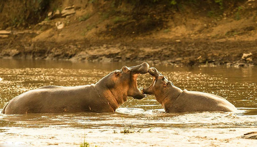 ?? ???? ?????? ???? ??? ???