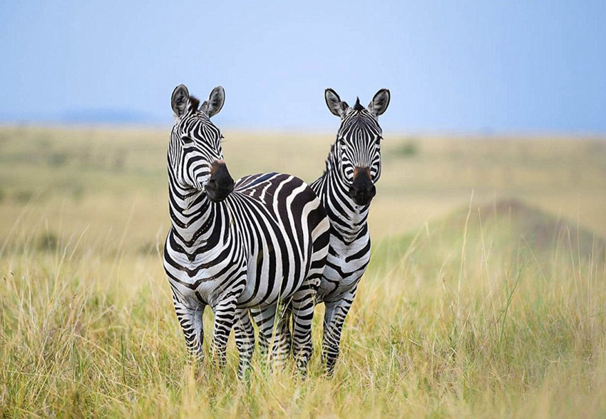 ?? ???? ?????? ???? ??? ???