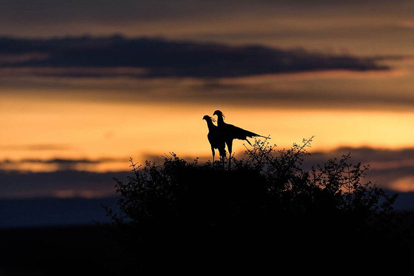 ?? ???? ?????? ???? ??? ???