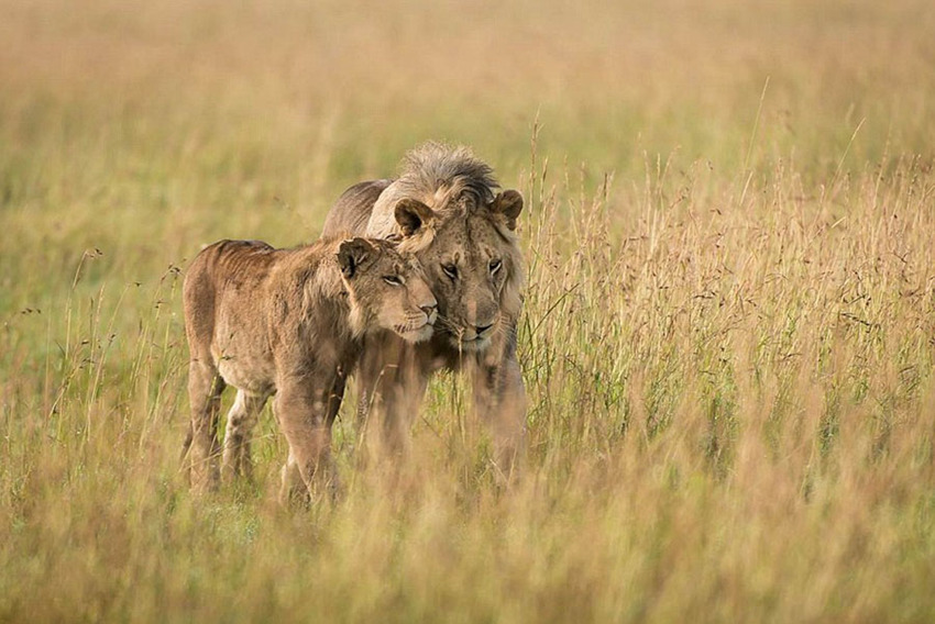 ?? ???? ?????? ???? ??? ???