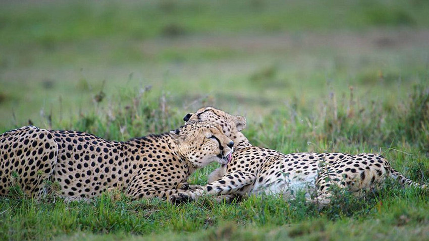 ?? ???? ?????? ???? ??? ???