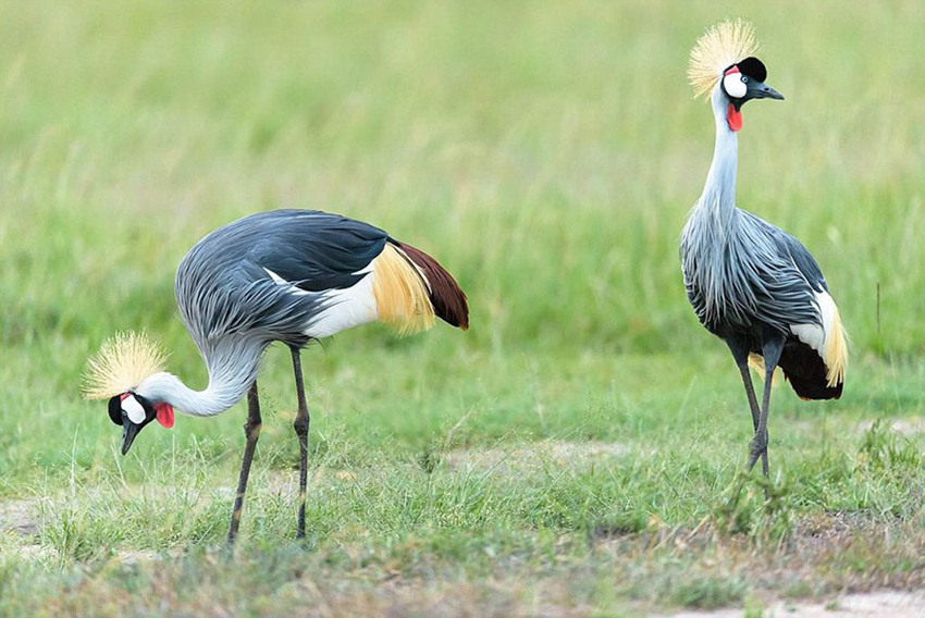 ?? ???? ?????? ???? ??? ???