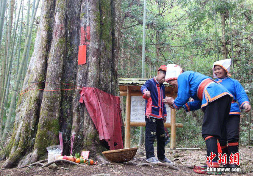 ??? ?? ???? ‘???（阿咕節）’