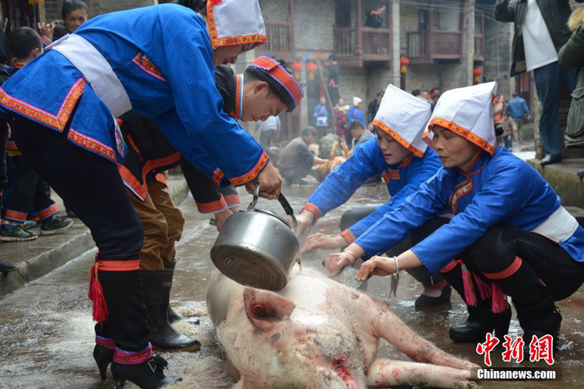 ??? ?? ???? ‘???（阿咕節）’