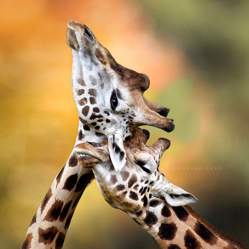 ?? ???? ??? ??? ??? ??