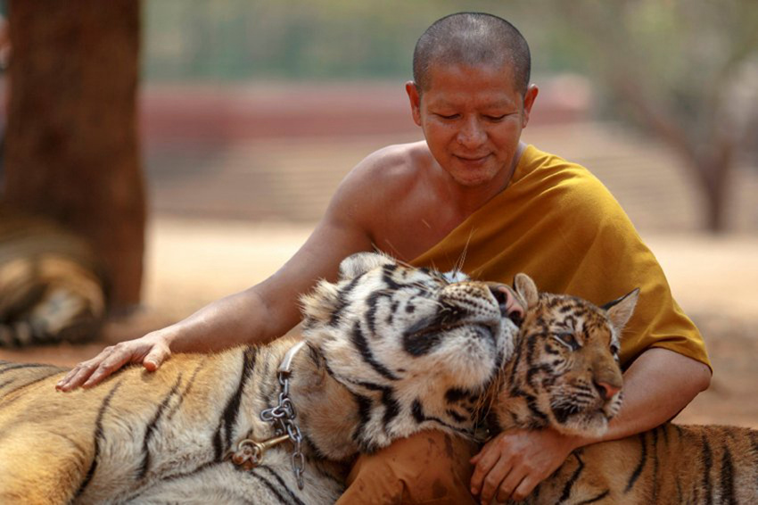 ?? ??? 140?? ???? ‘??’